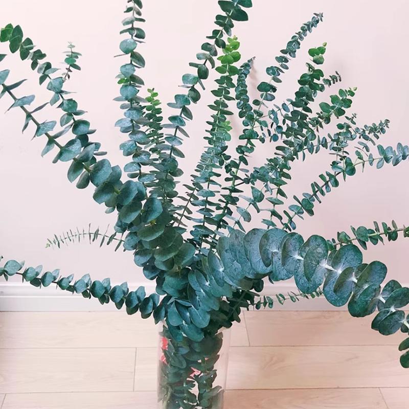 20pcs Artificial Plants Eucalyptus Leaves, Green Leaf Branches for Home Party Garden Wedding Valentine's Day Decoration Flowers