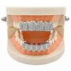 Teeth Grills Silver Plated Top and Bottom Mouth