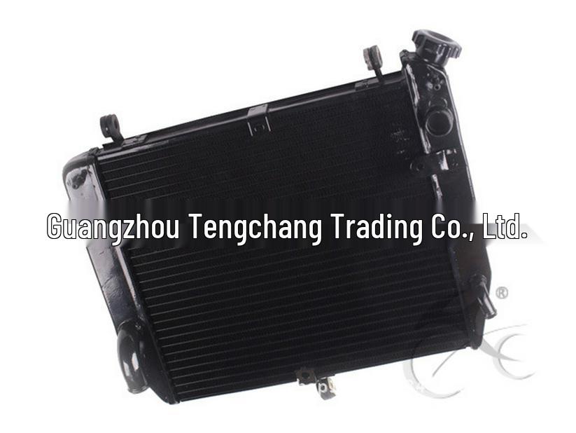 YZF1000 R1 2002-03 Radiator Assembly Water Cooler