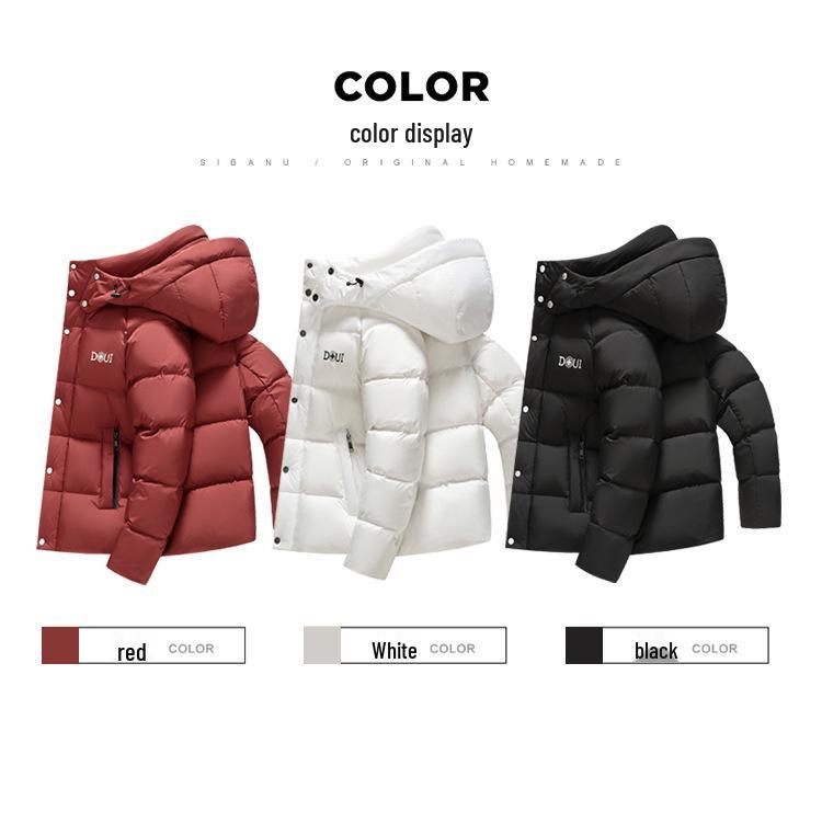 2025 Winter Men's Hooded Down Jacket - Korean Style, Warm, Stand Collar, White Duck Down for Middle-Aged & Young