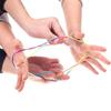 3Pcs Rainbow Rope Finger Games For Kids Toddler Threading Toy Juguetes Niñas Xxx De 3 6 8 12 15 Años Kinder Spiele