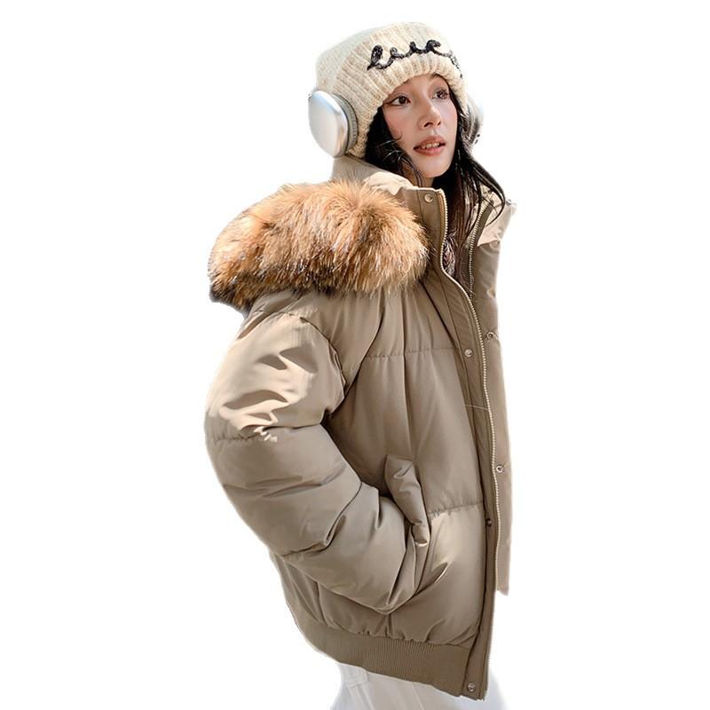 Big fur collar short down cotton clothes women's winter new design sense small thickened down cotton clothes jacket