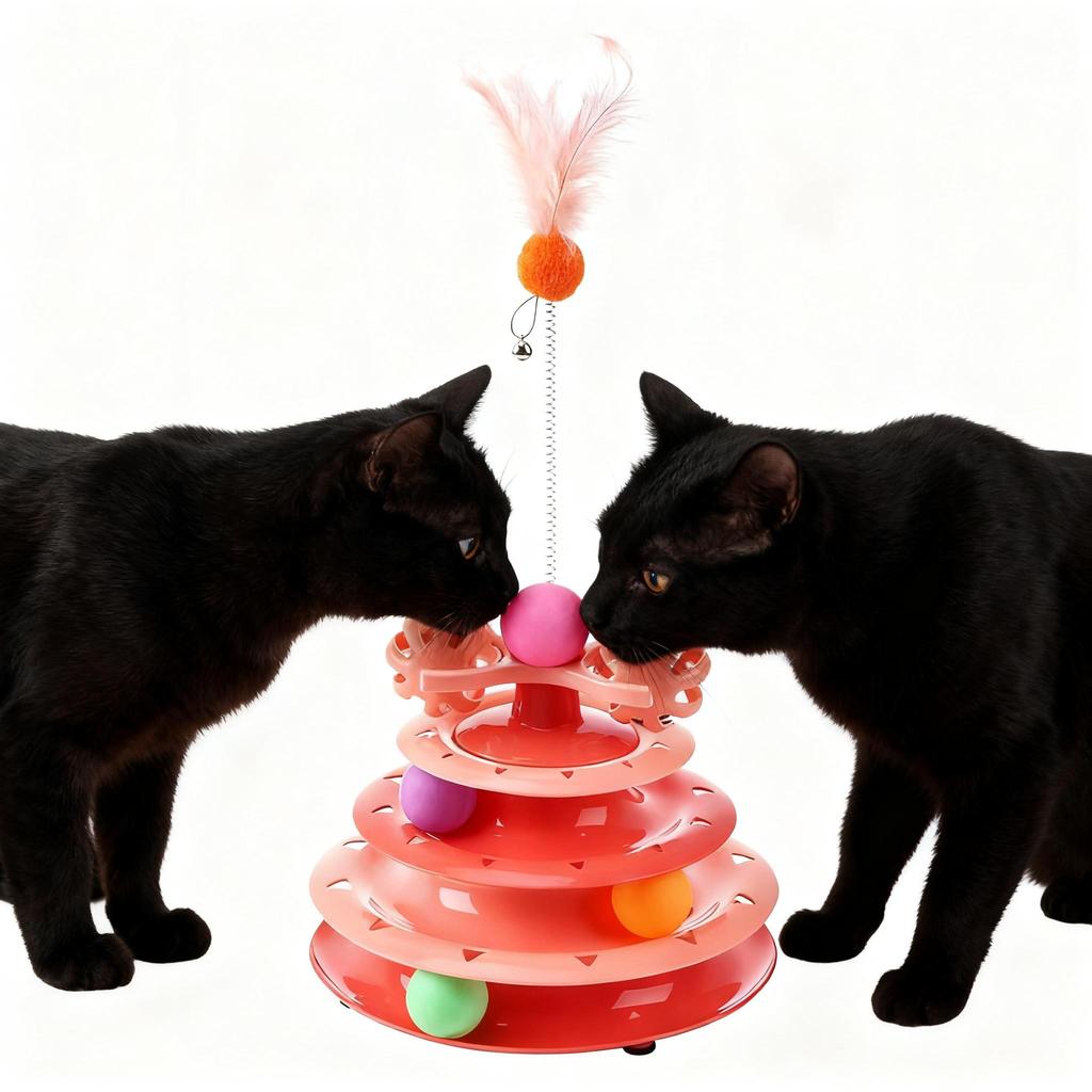 Cat Toy