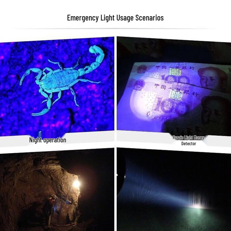 Lampada Frontale UV Ricaricabile a Doppia Luce