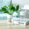 Mini Hydroponic Flower Pot Home Vase Decor Transparent Imitation Glass Soilless Plant Pots Green Plants Pot For Home Decoration