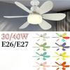40W 20 in LED Fan Lamp Ceiling Fan Noiseless Outdoor Ceiling Fan 6 Blade with Remote Control & Timer for Offices Bedroom Kitchen