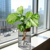 Yousheng Glass Plant Propagation Station Clear Mountain Hydroponic Planter Artistic Flower Vase Plant Propagation Jar for Home Living Room Bedroom