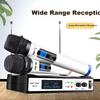 SAST OK-40 Wireless Microphone Dual Channel Home KTV Singing Stage Conference Host Speech Car Computer