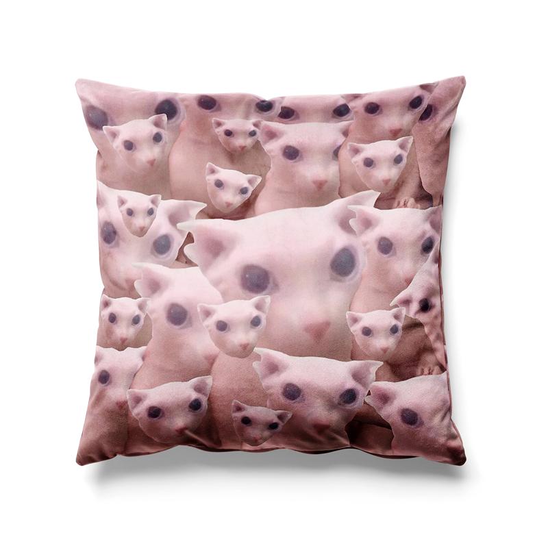 Aertemisi 18'' x 18'' Bingus Hairless Sphynx Cat Square Throw Pillow Cushion Covers Cases Pillowcases for Sofa 45cm x 45cm