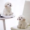 High Quality Lifelike Maltese Dog Plush Toy Soft Cartoon Animal Dog Stuffed Doll Home Decoration Birthday Gift