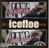 CD ICEFLOE - By Any Means Necessary BH001 Not On Label Japan Japanese Pop/Rock Used