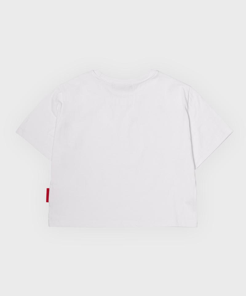 ARTISTWEAR [Atw] Midnight Haze Crop Short Sleeve Tee