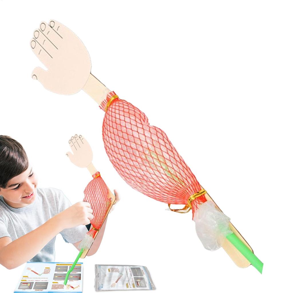 Biological Experiment Kit Interactive Science Project Toy Science Experiment Toys for Kids Learning Science Early Education Toys