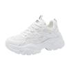 Summer Thin Women's Sneakers New Mesh Breathable Casual Texture Heightened Dad Shoes Lace Up Hot Women's Shoes
