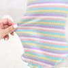 Autumn and Winter Colored Striped Bottom Shirt Teddy Pet Top Clothes Cotton Knitted Bottom Shirt Hoodie Two Feet Vest for Dog