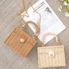 Borsa a tracolla in paglia da donna - Stile influencer francese - Piccola trousse da trucco portatile casual