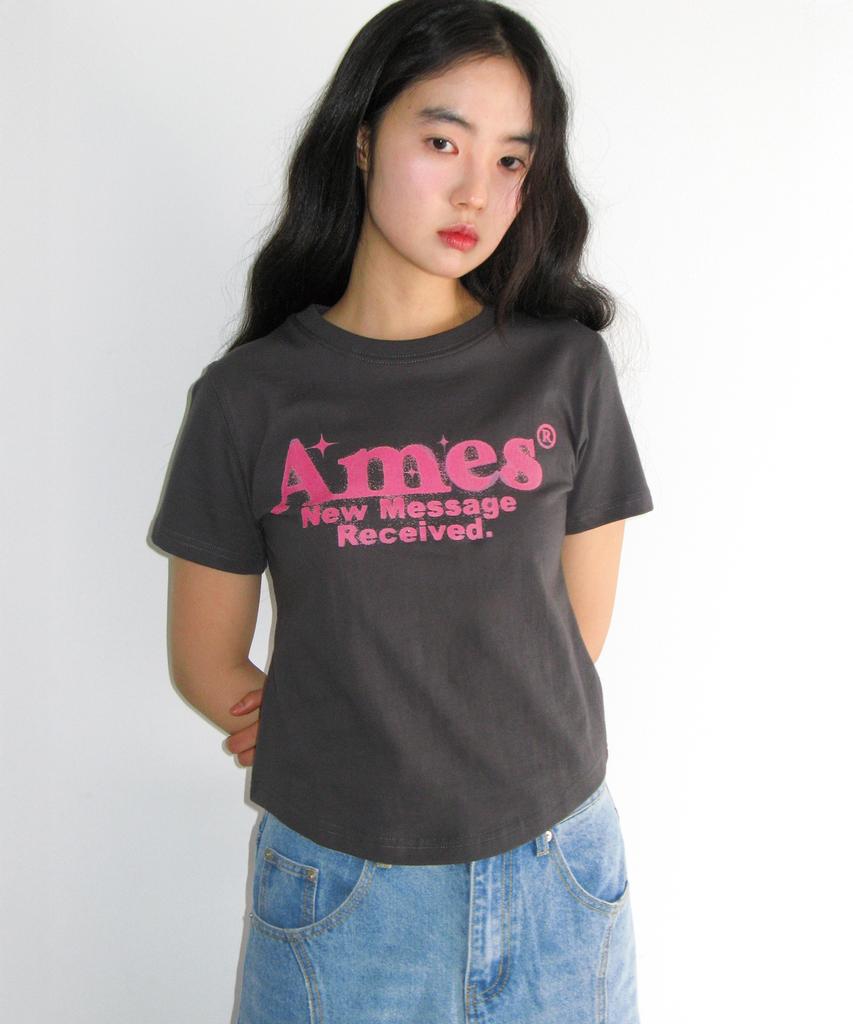 AMES-WORLDWIDE Round Hem Crop Tee Charcoal