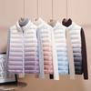 Gilet Imbottito Leggero da Donna Sfumato 2024: Gilet corto e alla moda