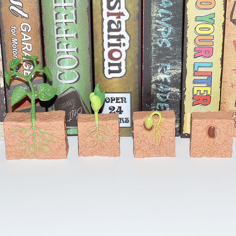 Montessori Plant & Animal Life Cycle Educational Toy Set for Early Learning