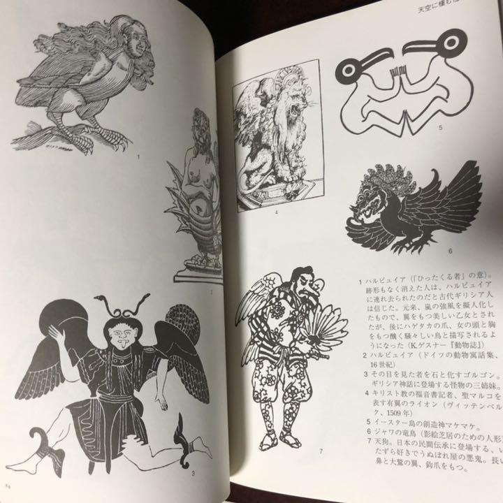 [USED] First edition book: Fantasy iconography monster edition
