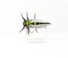Jackson Namazemi Cicada Floating Lure MMZ (4964)