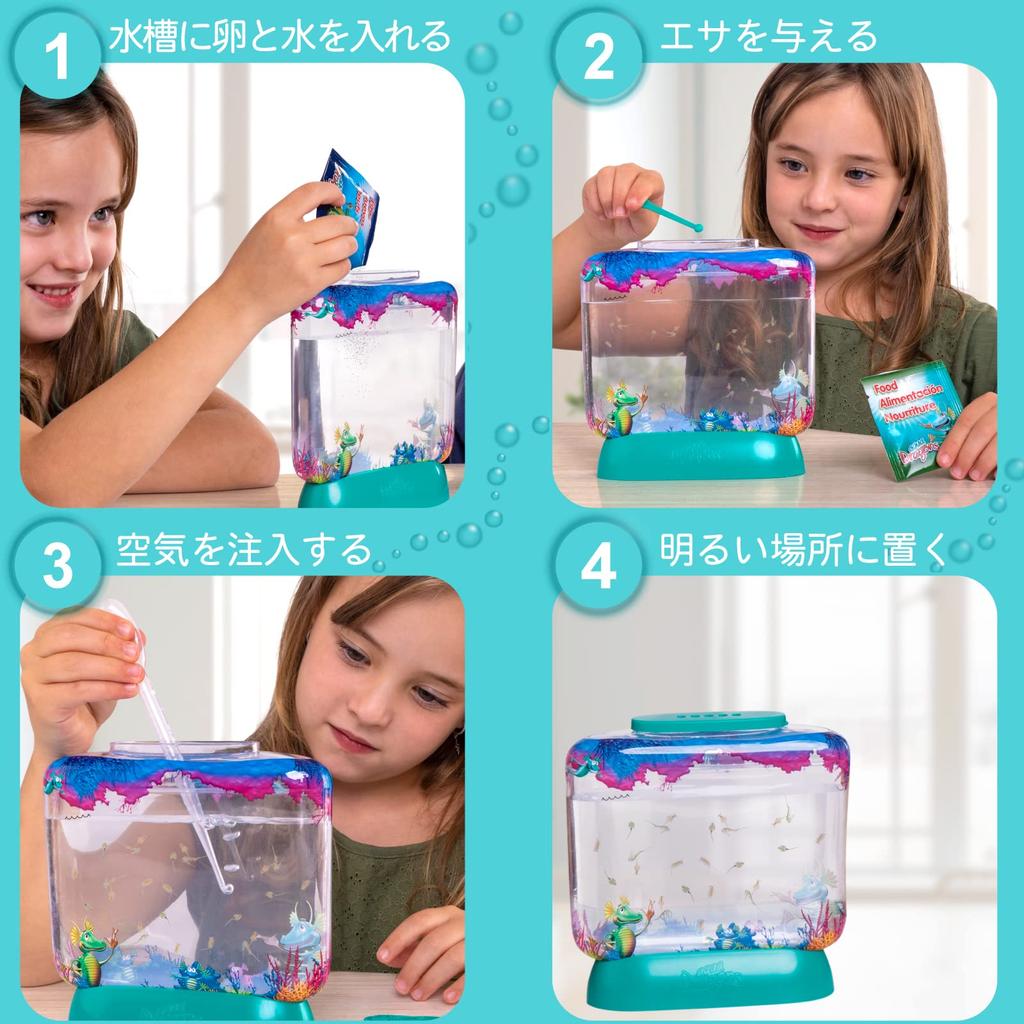 Aqua Dragons Aqua Dragon Breeding Kit Japanese Version Artemia Breeding Observation Genuine Product 4001-J