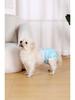 All-Season Leak-Proof Diaper for Female Dogs - Menstrual & Outdoor Protection