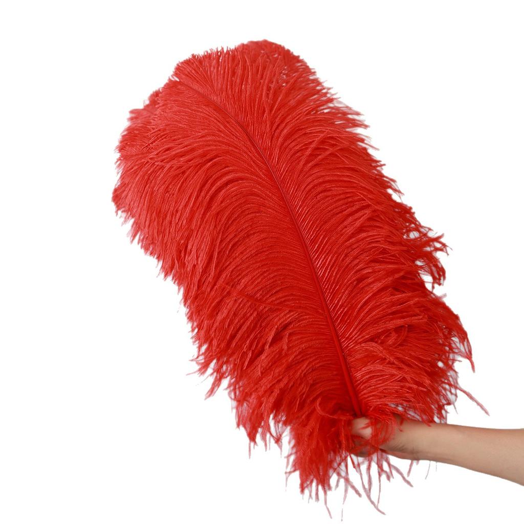 Thick Rod Wide Hair 50-55Cm Ostrich Feather Wedding Road Guide Table Flower Home Decoration Ornament Ostrich Hair White