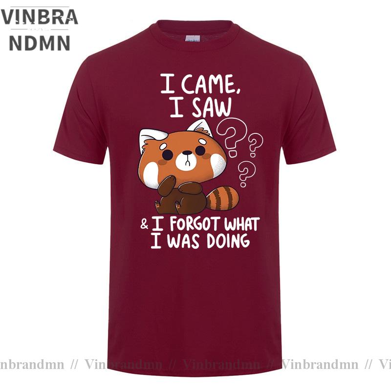 Funny Red Panda T Shirts Humor Cartoon Raccoon I Came I Saw I Forgot What I Was Doing Tshirt Streetwear Hip Hop Harajuku Tshirt