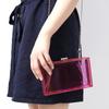 New Acrylic Transparent Box Bag for Women Fashion Shoulder Chain Crossbody Purse Luxury Evening Party Clutch Clear Mini Handbag