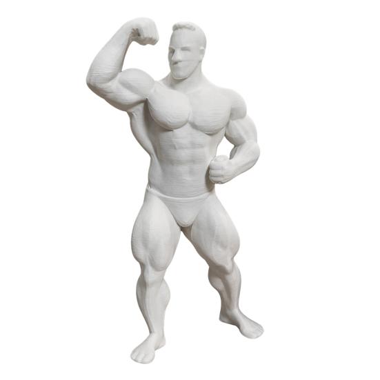 3D Printed Bodybuilder Muscle Man Figurine  Mini Fitness Athlete Desk Ornament