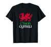 Welsh Dragon Flag, Welsh Cymru Flag, Medieval Welsh Rugby T-Shirt