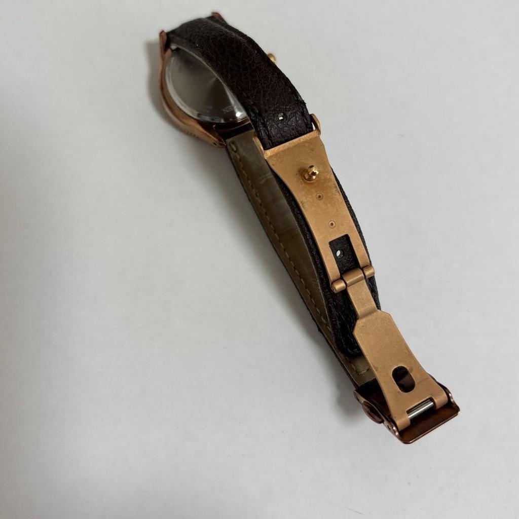 Used CITIZEN Women's EE1002-01W Red Brown