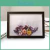Boxwood Schattenrahmen DIY Speicherwand Dekor Tischplatte Große Tiefe Vitrine Für Kinder