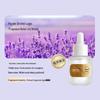 Langlong Aroma Pendant: Fresh Light Fragrance for Car and Home - Essential Oil Incense Holder