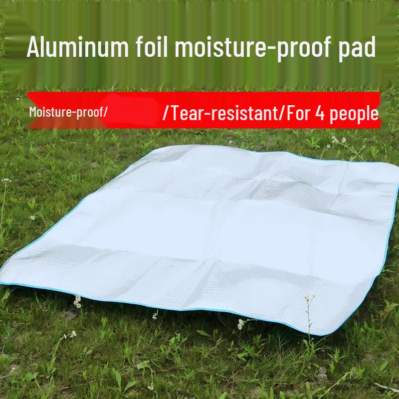 Outdoor Double-Sided Moisture-Proof Mat 240x240cm