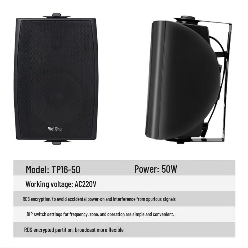 Versh Wireless FM Broadcast Wall-Mounted Speaker