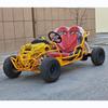 New 800W Electric All-Terrain Two-Seater Kids & Adult Beach Buggy Kart ATV/UTV
