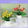 Fruit Tree Miniature Potted Plants For Home Decor With Creative Tabletop Display
