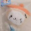 NCT WISH Wisidoru Bubble Nyan