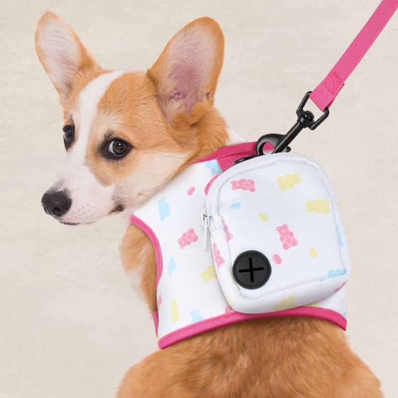 [Pet] Backpack Harness Set L
