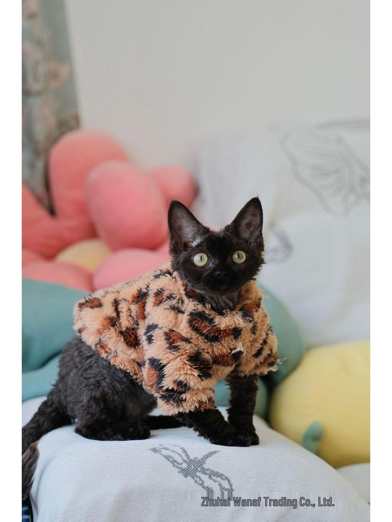 Devon Rex Autumn Winter Fleece Cat Clothes - Comfortable and Warm for Hairless Cats