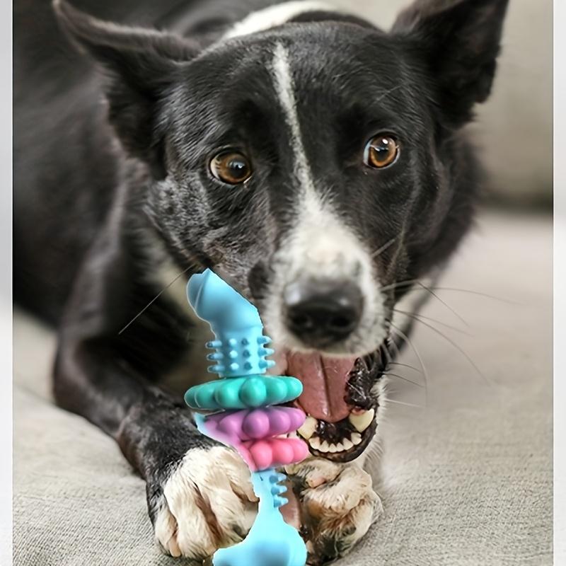 [Unzerstörlicher Hundekauartikel] Langlebiges unzerstörbares Hundekauknochen-Spielzeug | Thermoplastischer Gummi|Zahnreinigung, Training, Langeweilebekämpfung für kleine mittelgroße Hunde