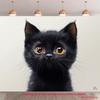 2D Cute Black Kitten Backdrop Pet Lovers Photography Decoration