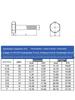 304 Stainless Steel 1/4" Imperial Half-Thread Hex Head Bolt American Standard