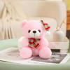Christmas Teddy Bear with Hat - Cute Plush Doll Gift