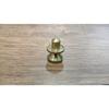 RSINC Mahadev Pind- Shivling Puja zu Hause- Gold-16 g e0cf8cb7-7e69-47d3-8f85-1682cab5fa99
