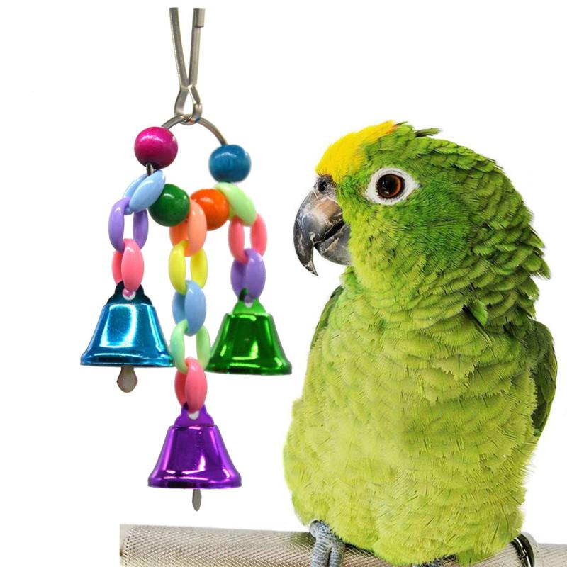 parrot supplies online