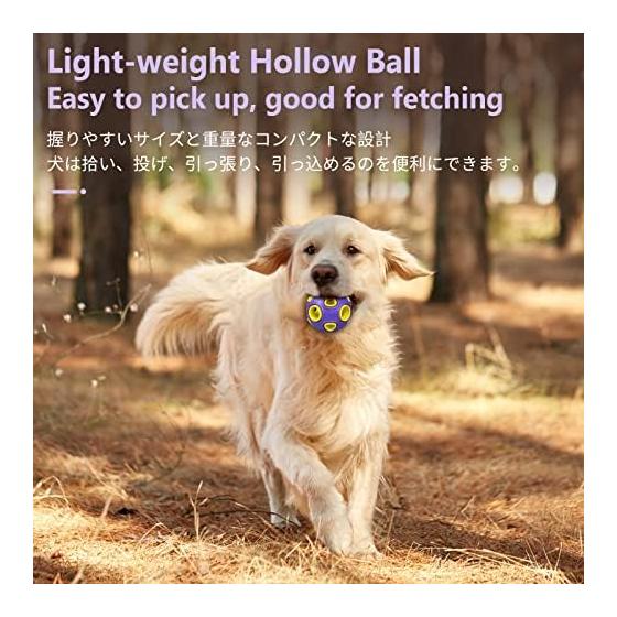 SCHITEC Dog Toy with Sound Ball [Set of 2] Chewing Toy, Stress Relief, Lack of Exercise, Durable Training Toy, Suitable for Large, Medium, and Small
