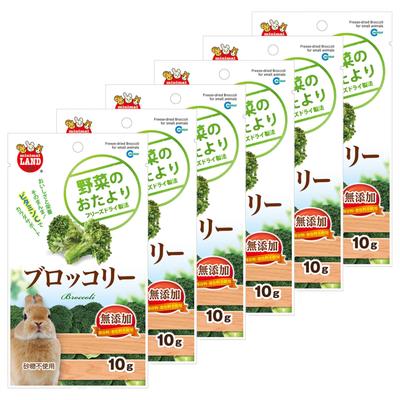 Minimal Land Vegetable Letter Broccoli 10g (Set of 6)